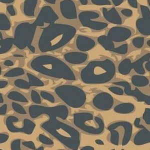 Meet your Posher, 602chloescloset